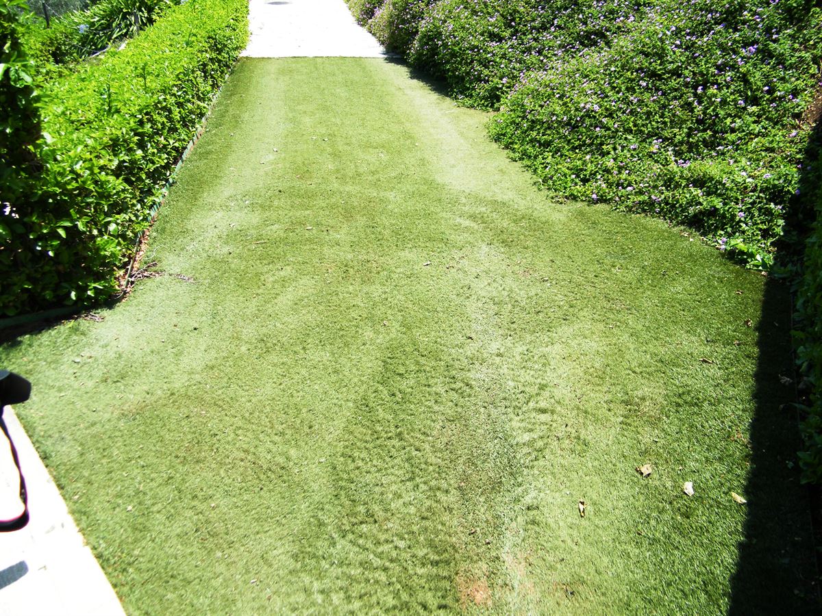 Artificial Turf in the Phoenix Area: A Practical Guide