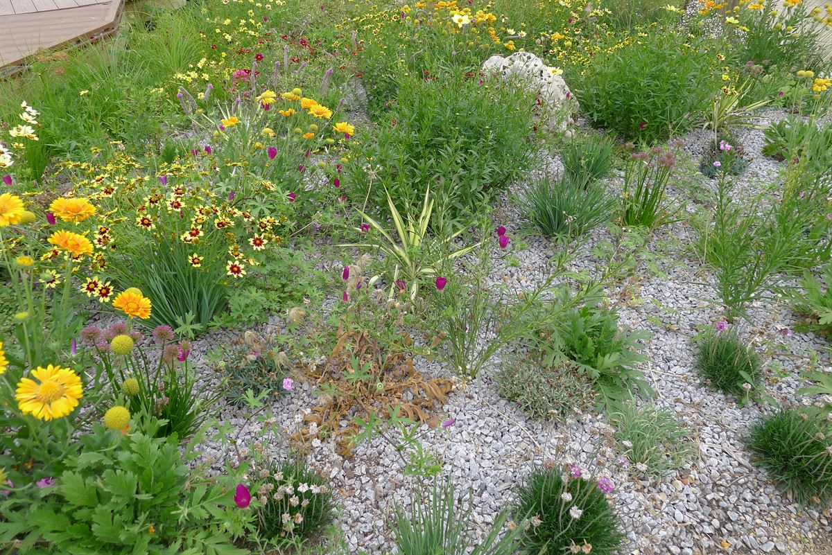 Garden Design